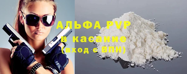 индика Новокубанск