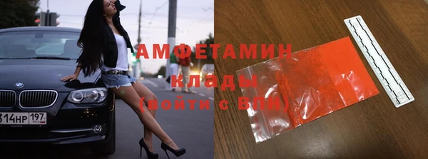 индика Новокубанск