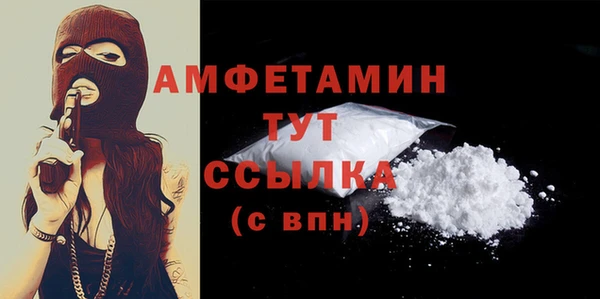 индика Новокубанск