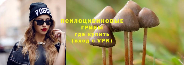 индика Новокубанск