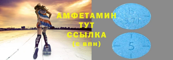 индика Новокубанск