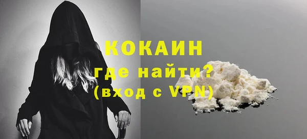 индика Новокубанск