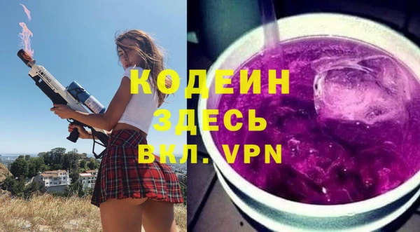 индика Новокубанск