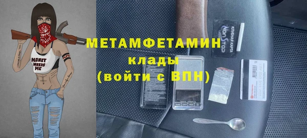 индика Новокубанск