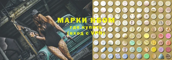 индика Новокубанск