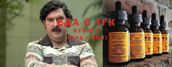 индика Новокубанск