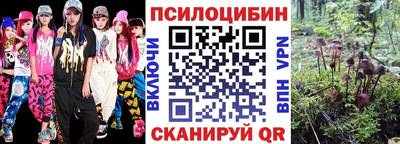 МЕГА зеркало Брянск Псилоцибиновые грибы Cubensis